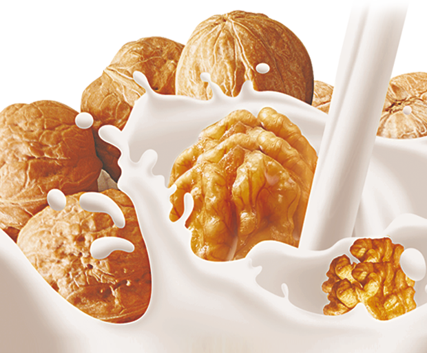 花生核桃乳稳定剂HD-02021